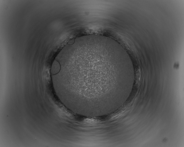 X0000101440699200807141306