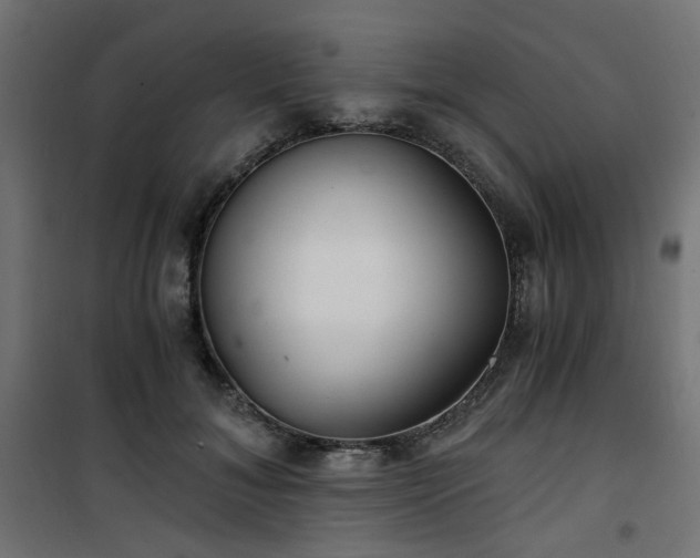 X0000101440700200807141306