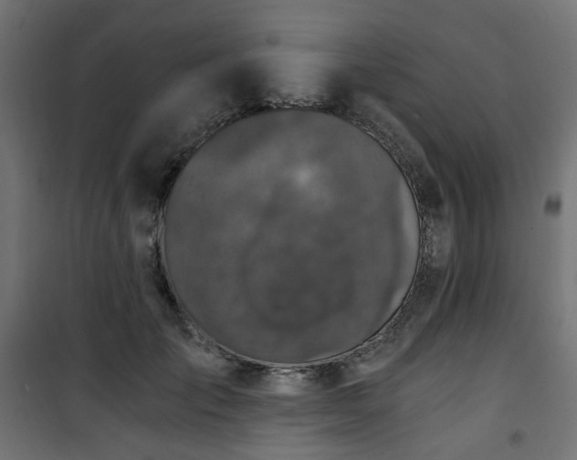 X0000101440701200807141306