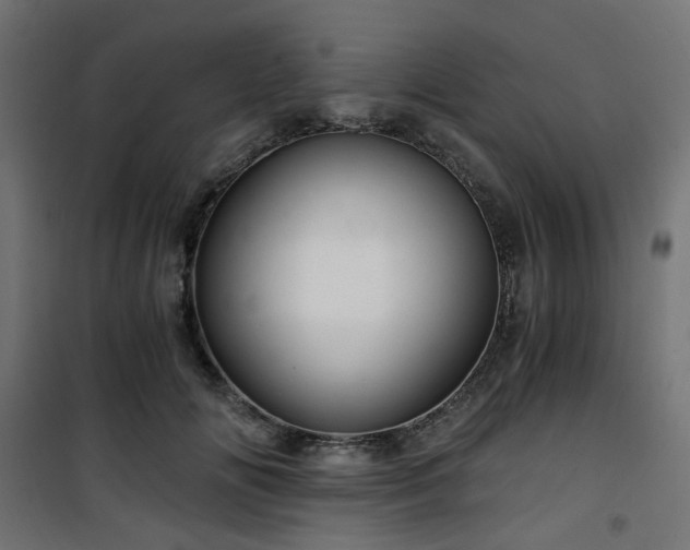 X0000101440702200807141306