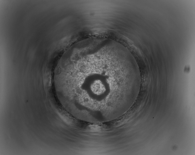 X0000101440703200807141306