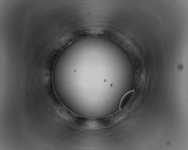 X0000101440704200807141306