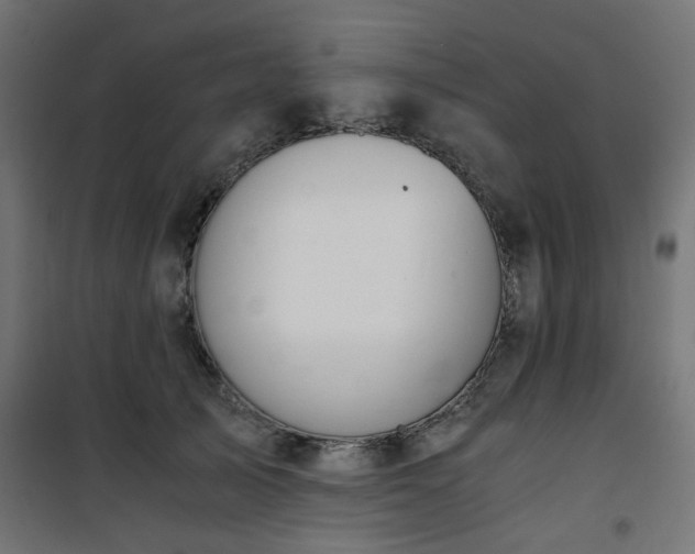 X0000101440705200807141306