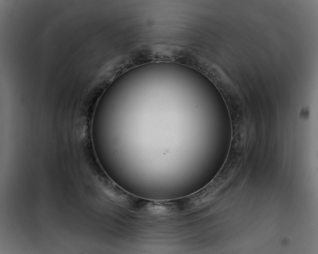 X0000101440706200807141306