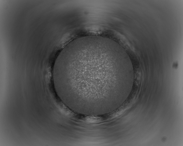 X0000101440707200807141306