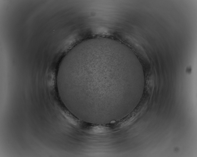 X0000101440708200807141306