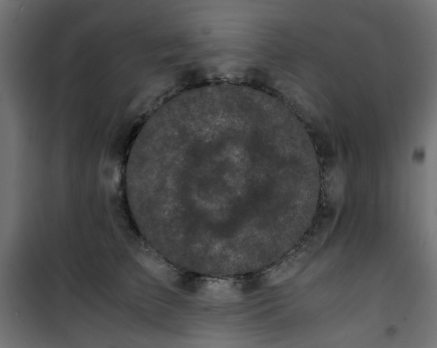 X0000101440709200807141306