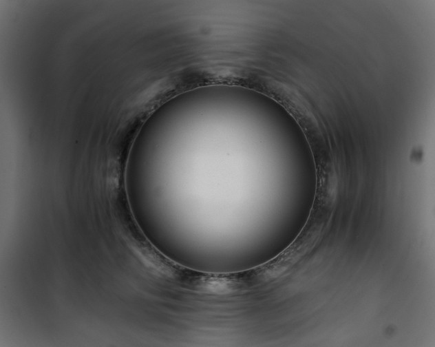 X0000101440710200807141306