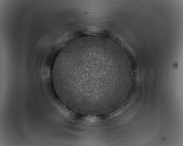 X0000101440711200807141306