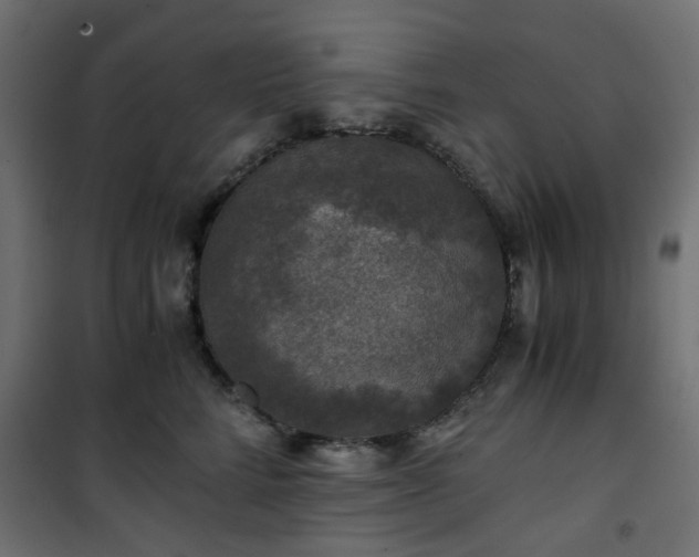 X0000101440712200807141306