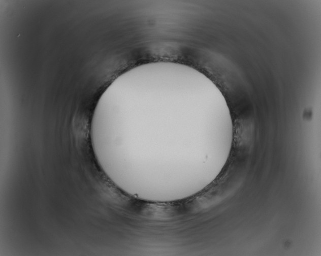 X0000101440713200807141306