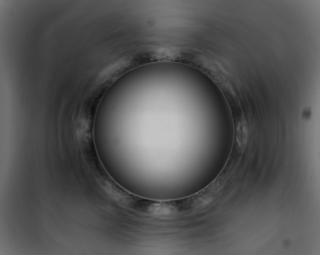 X0000101440714200807141306