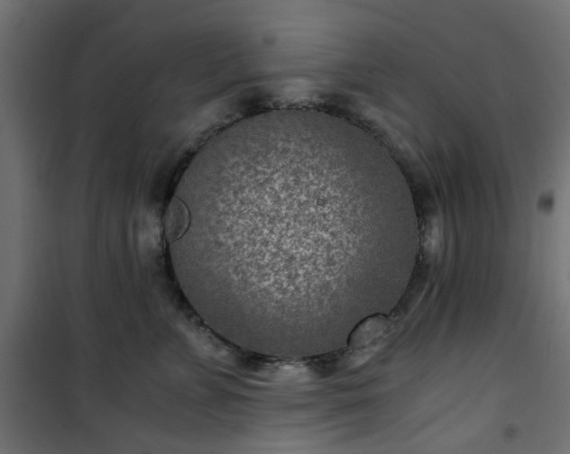 X0000101440715200807141306