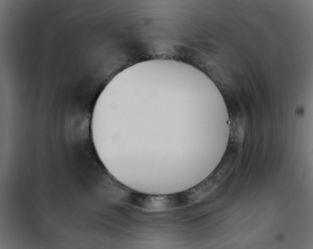 X0000101440717200807141306