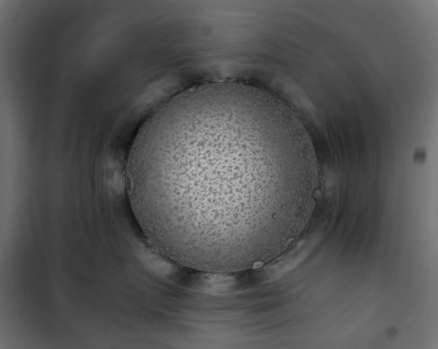 X0000101440719200807141306