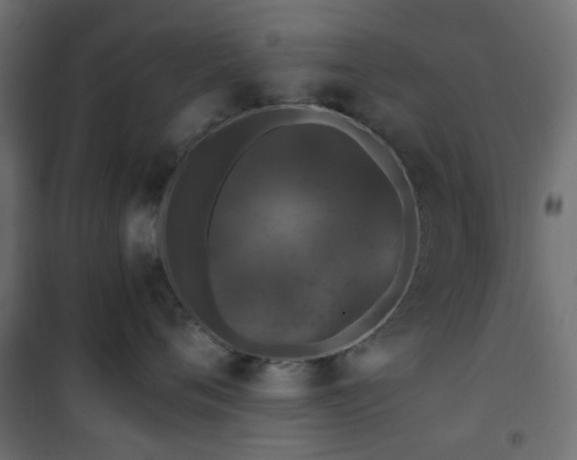 X0000101440720200807141306