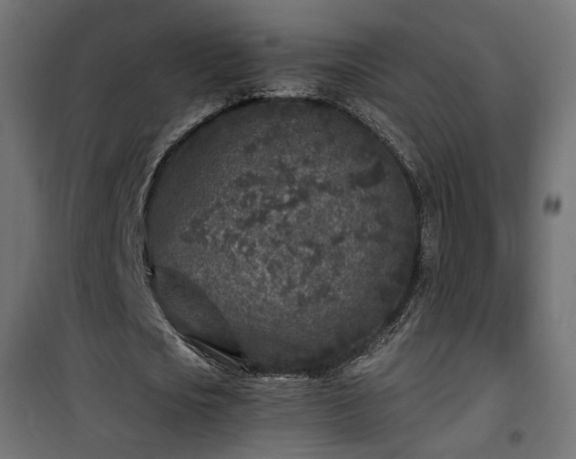 X0000101440721200807141305