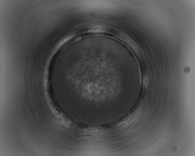 X0000101440724200807141305