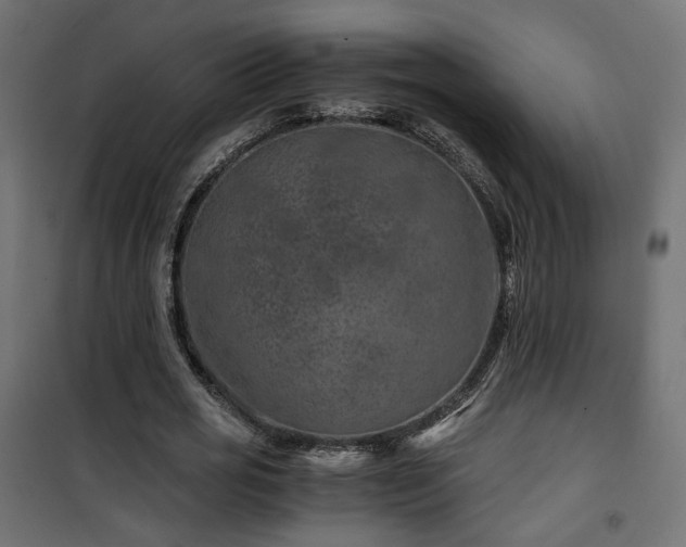 X0000101440725200807141305