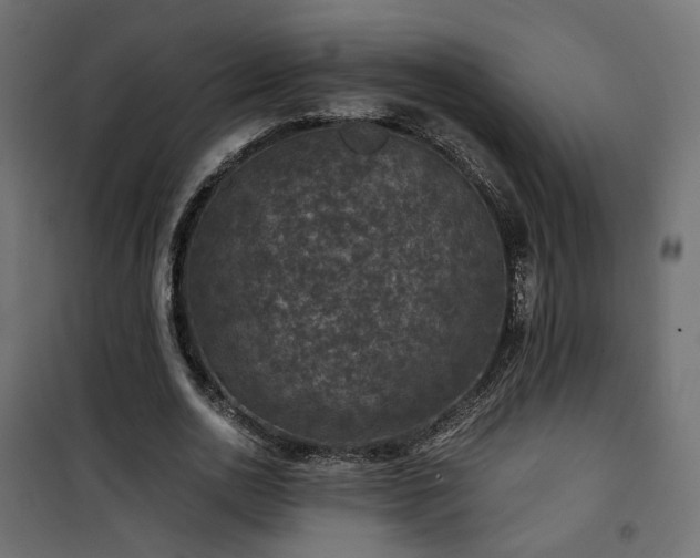 X0000101440726200807141305