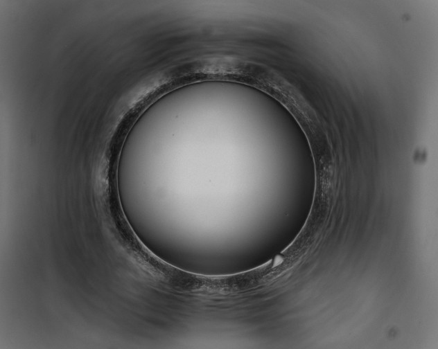 X0000101440727200807141305