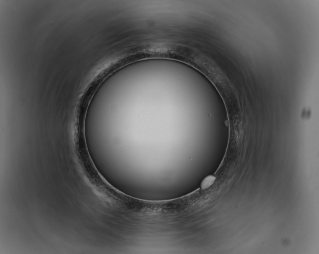 X0000101440728200807141305