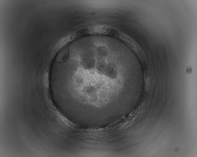 X0000101440729200807141305