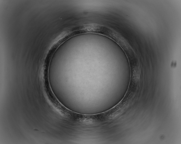 X0000101440730200807141305