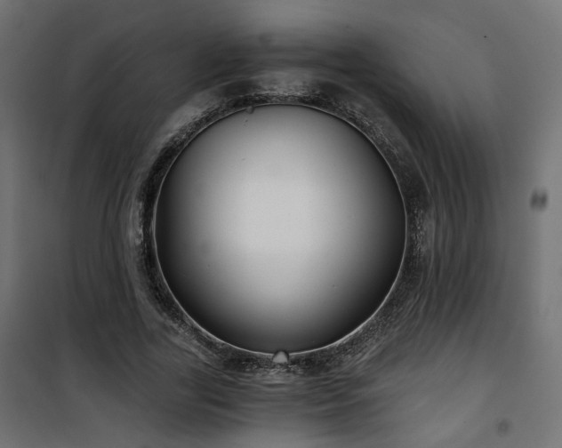 X0000101440731200807141305