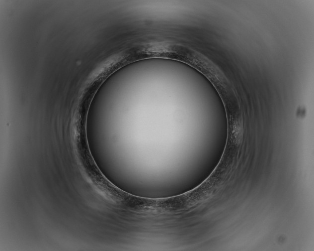 X0000101440732200807141305