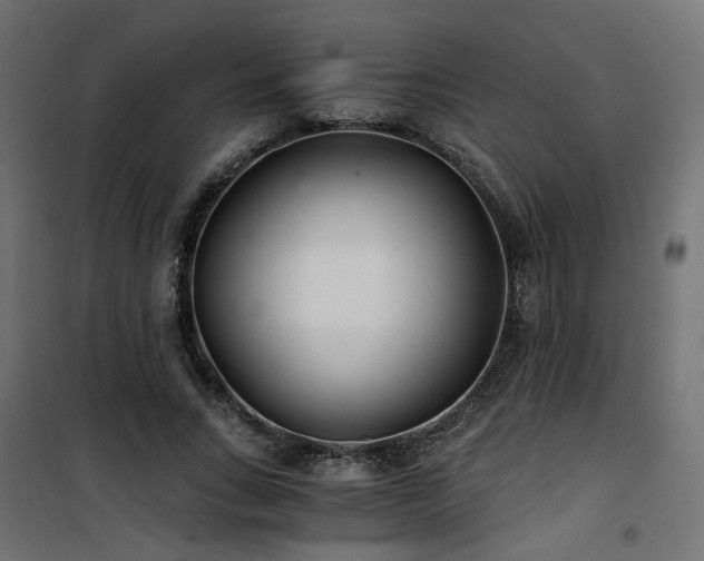 X0000101440735200807141305