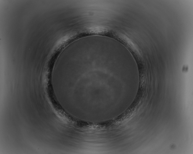 X0000101440736200807141305