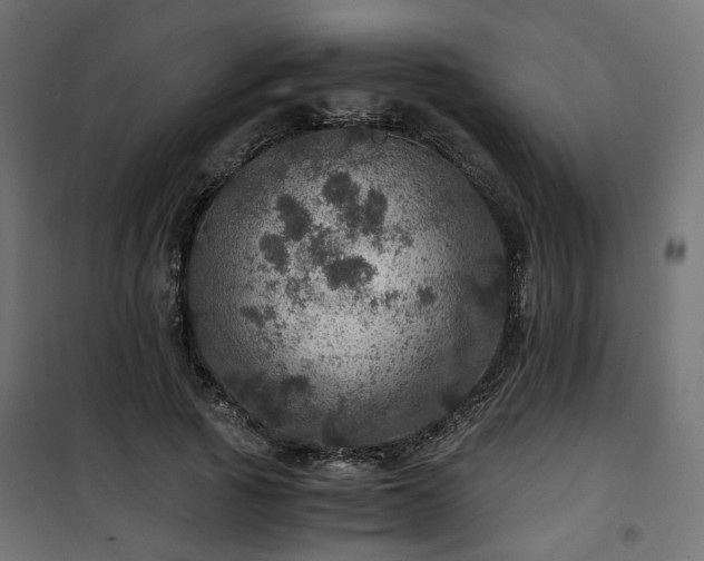 X0000101440737200807141305