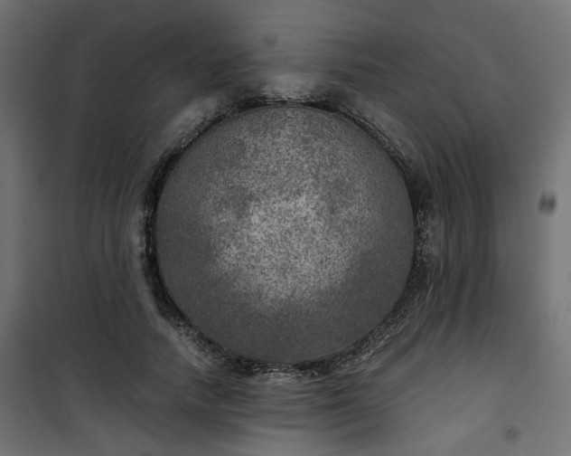 X0000101440738200807141305