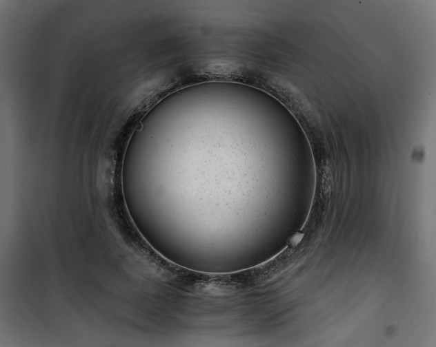 X0000101440739200807141305