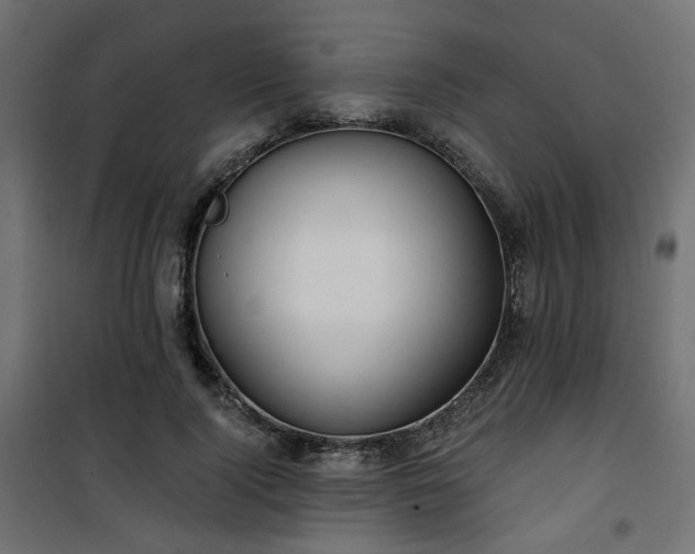 X0000101440740200807141305