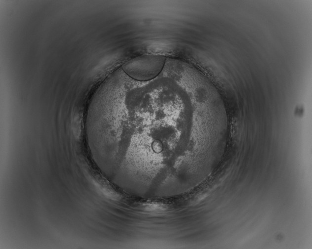 X0000101440741200807141305