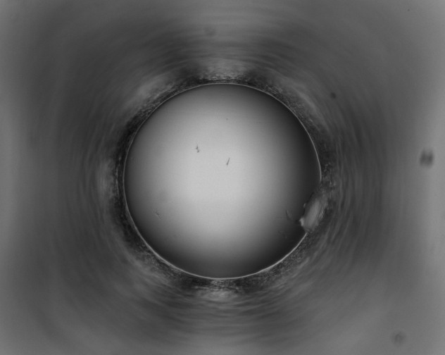 X0000101440743200807141305