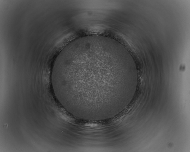 X0000101440745200807141305