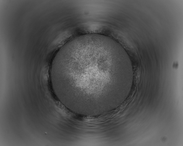 X0000101440746200807141306