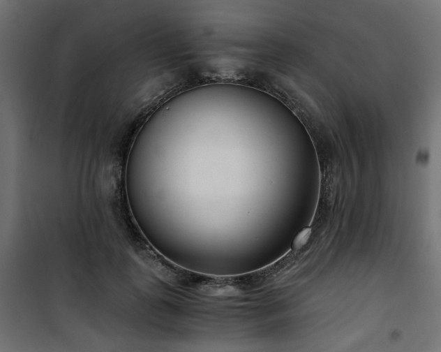 X0000101440747200807141306