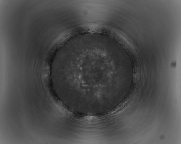 X0000101440748200807141306