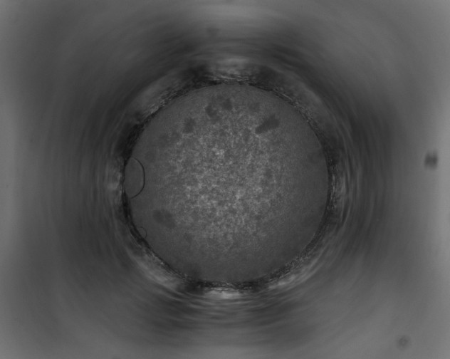 X0000101440749200807141306