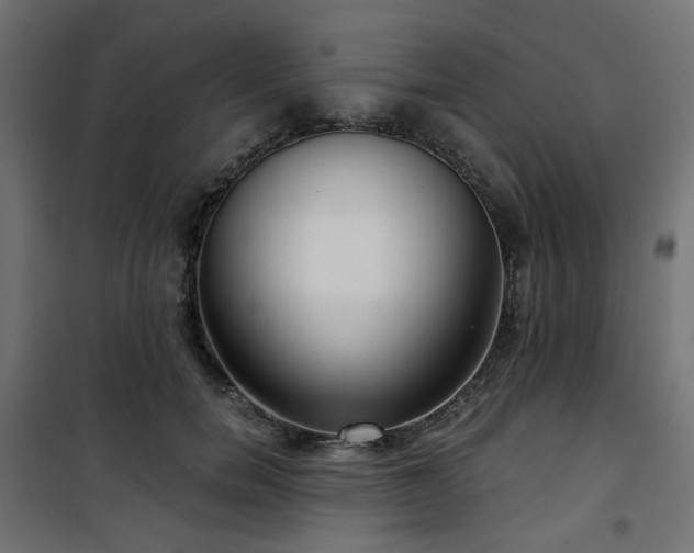 X0000101440750200807141306