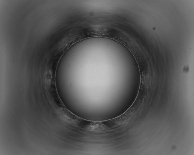 X0000101440752200807141306