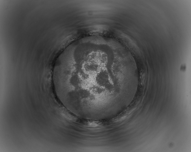 X0000101440753200807141306