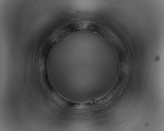 X0000101440754200807141306