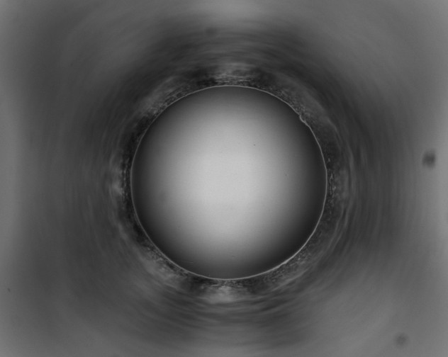 X0000101440755200807141306