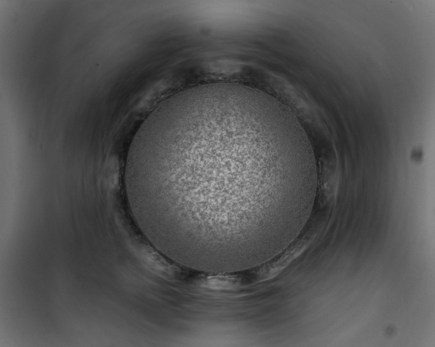 X0000101440758200807141306