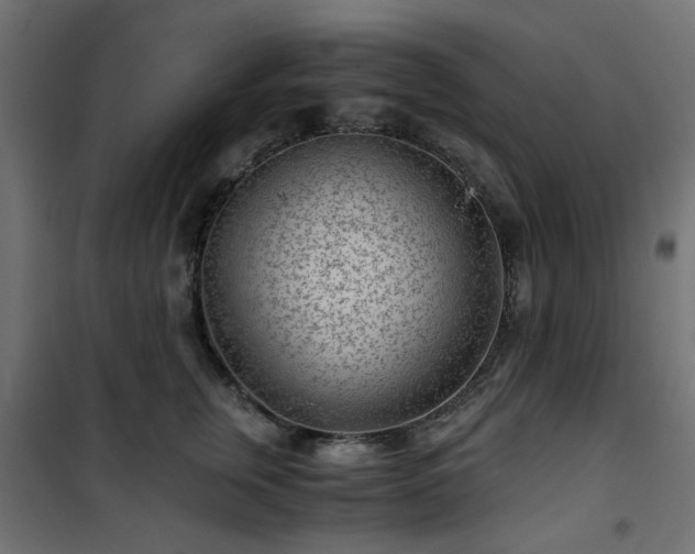 X0000101440759200807141306